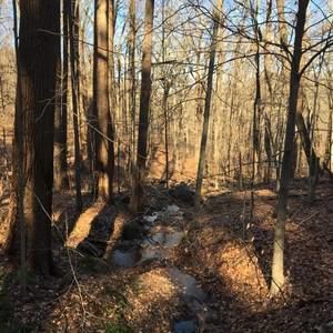 Meet your Posher, Dee